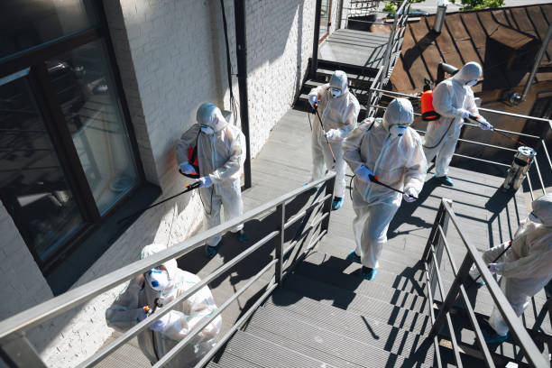 Best Mold Odor Removal Services  in Walsenburg, CO