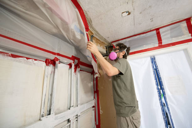 Best Basement Mold Removal  in Walsenburg, CO