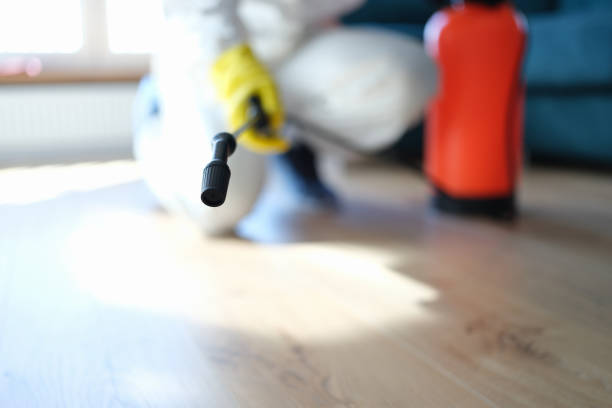 Best HVAC Mold Inspection and Cleaning  in Walsenburg, CO